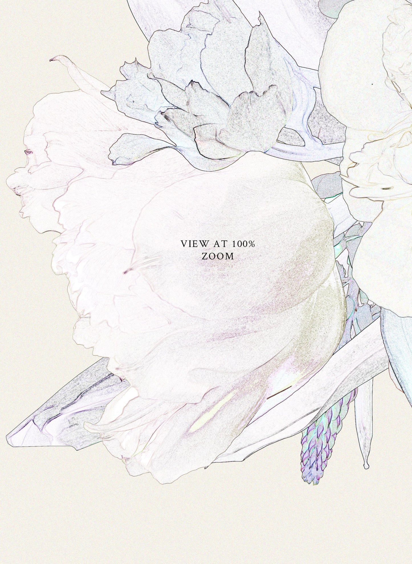 Bring sophistication to your branding and packaging designs with this clipart set