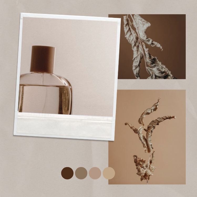 Mood Board Mockup Templates Cover