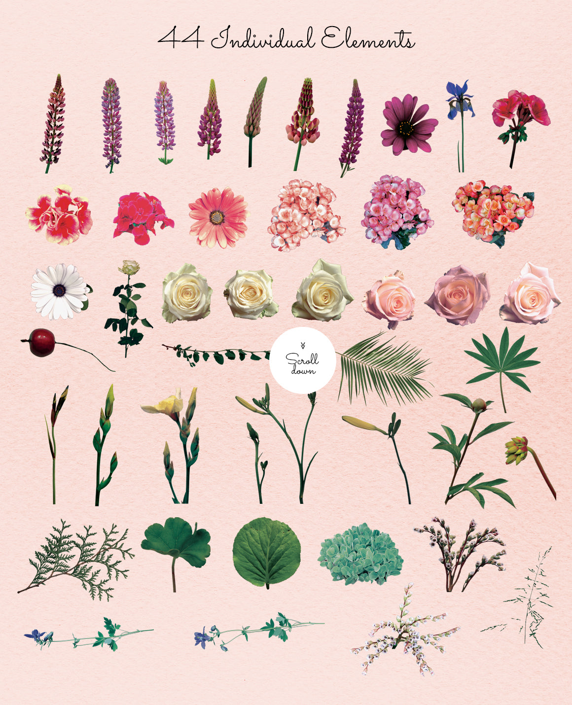 Real flowers and leaves clipart set - Gardener's Dream, with boho vintage touch