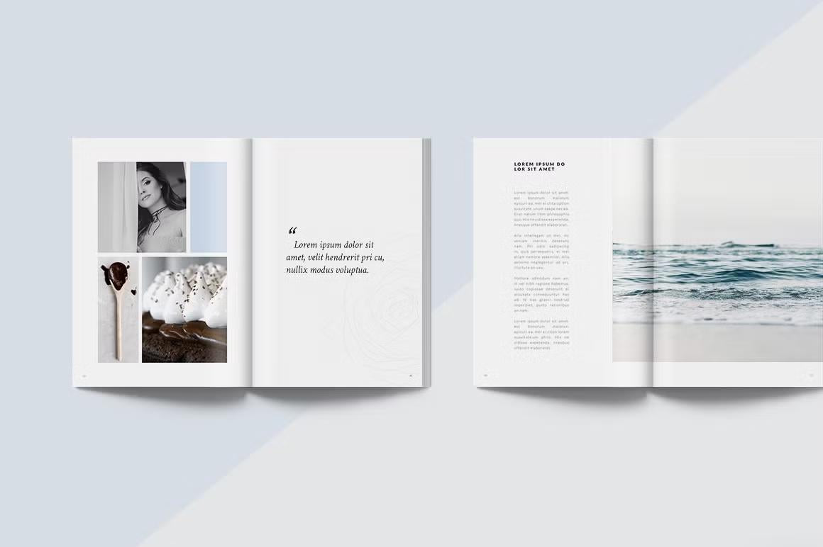 Professional InDesign brochure for fashion portfolios and more