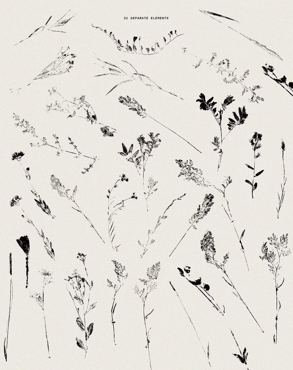 Digitized monochrome modern handmade organic flowers