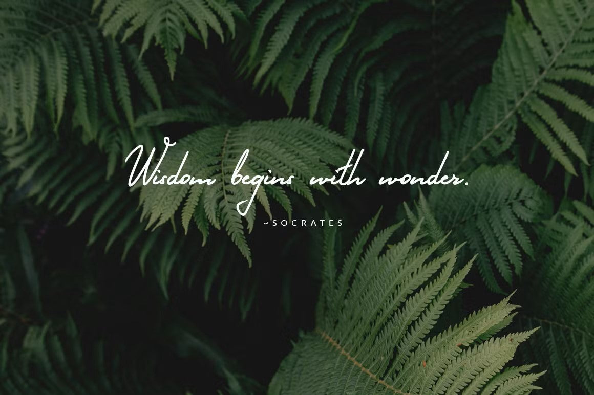Fern Whisper signature font ideal for Instagram quotes