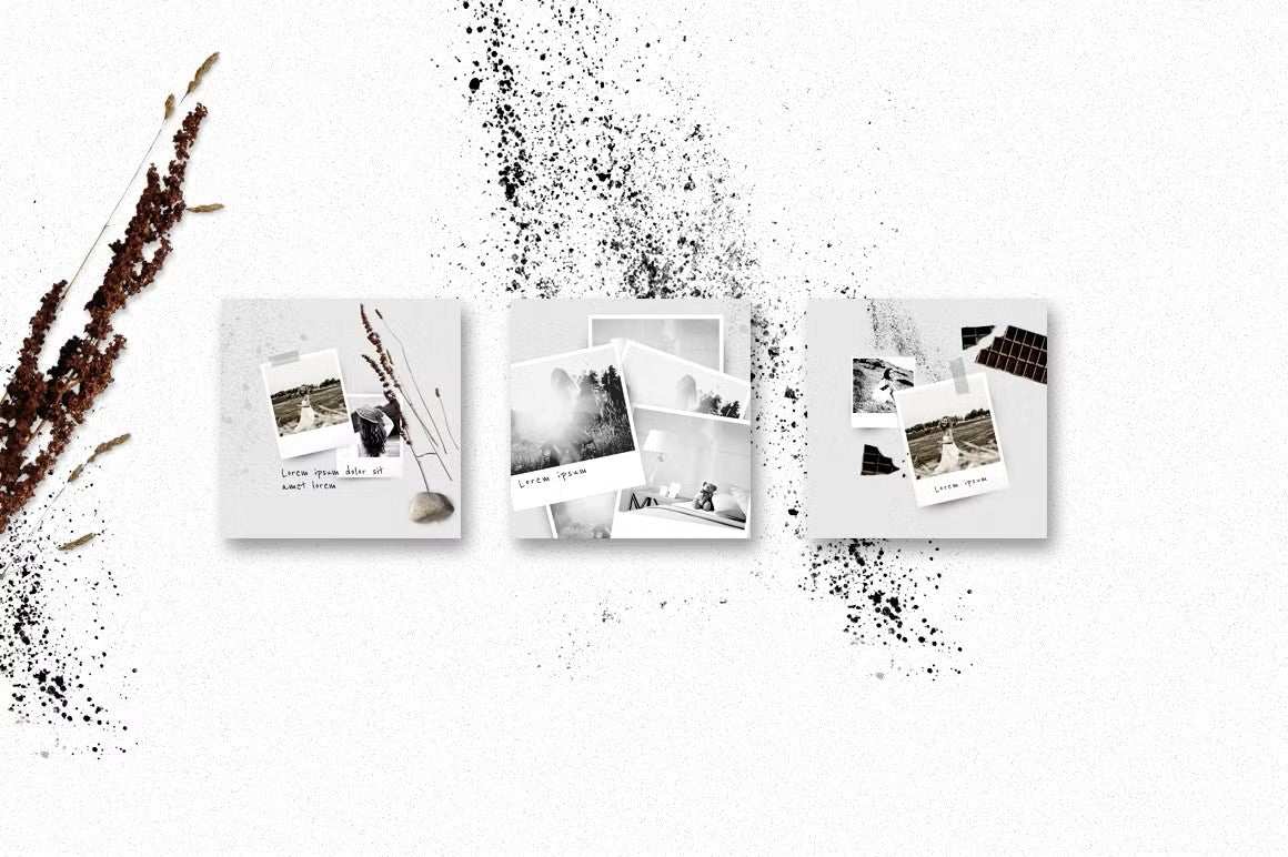 Minimalistic Instagram post templates in black & white, featuring natural elements