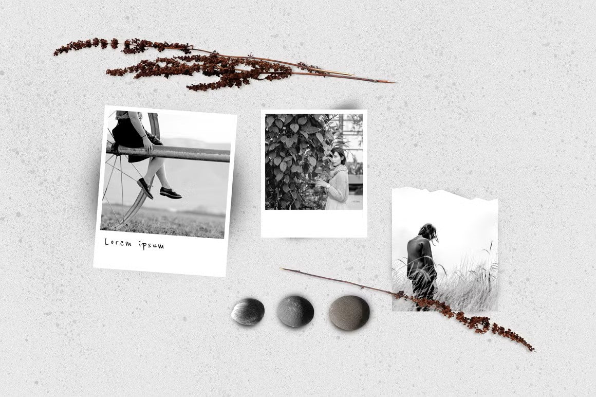 Minimalistic black & white mood board mockup featuring natural elements like pebbles and herbs