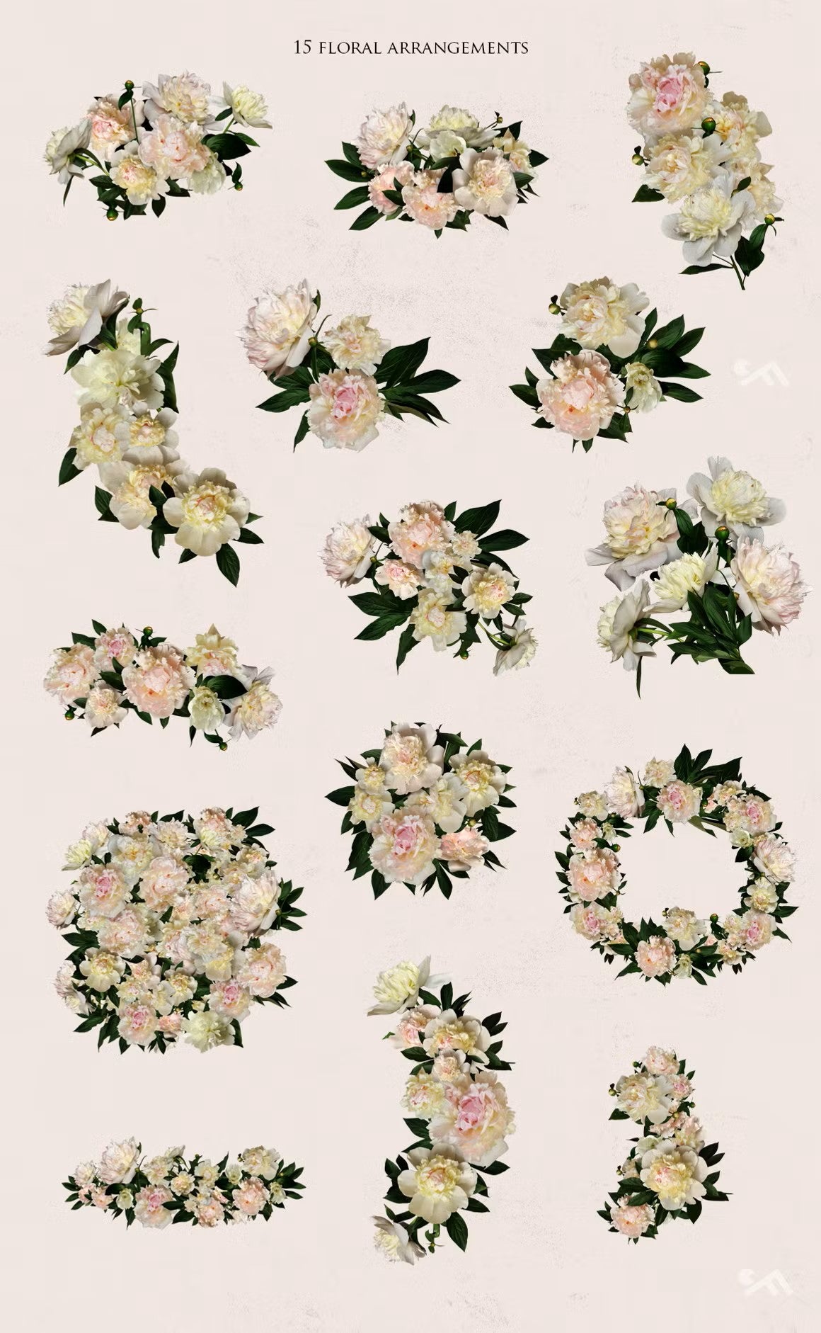 Real Peonies clipart set featuring 15 floral arrangements