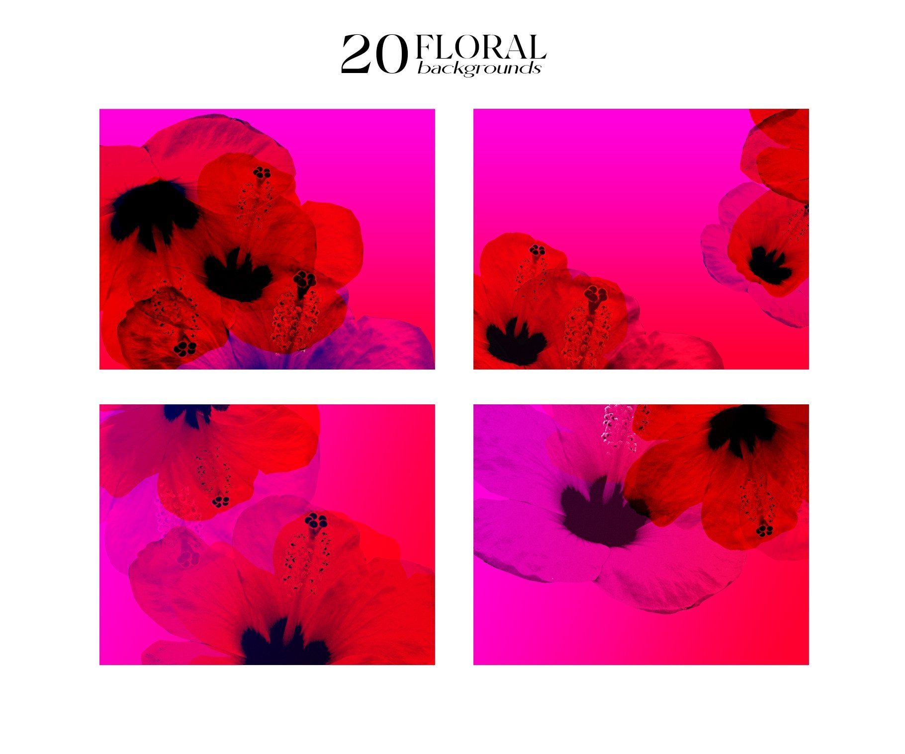 Creative floral backgrounds made from real flowers: Perfect for design projects