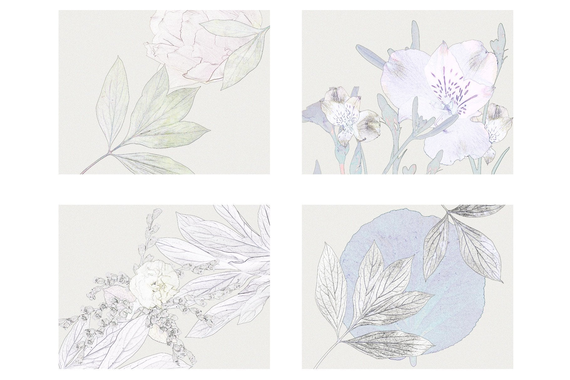 Enhance your designs with elegant vintage floral elements and backgrounds