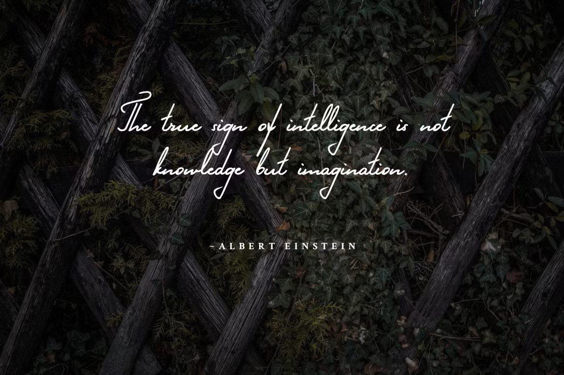 Make a bold statement with Fern Whisper, a signature font designed to captivate and inspire