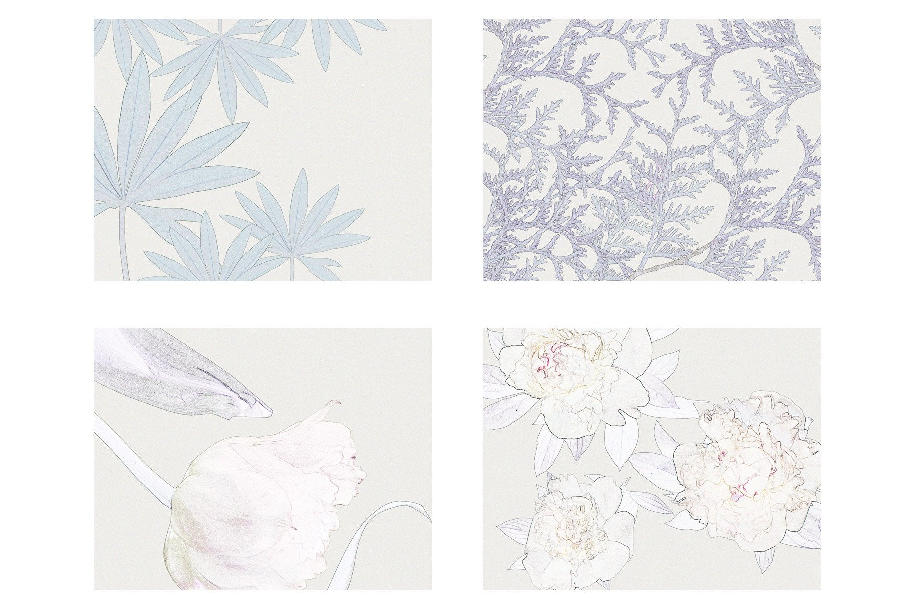 Versatile vintage floral clipart perfect for posters, packaging, and websites