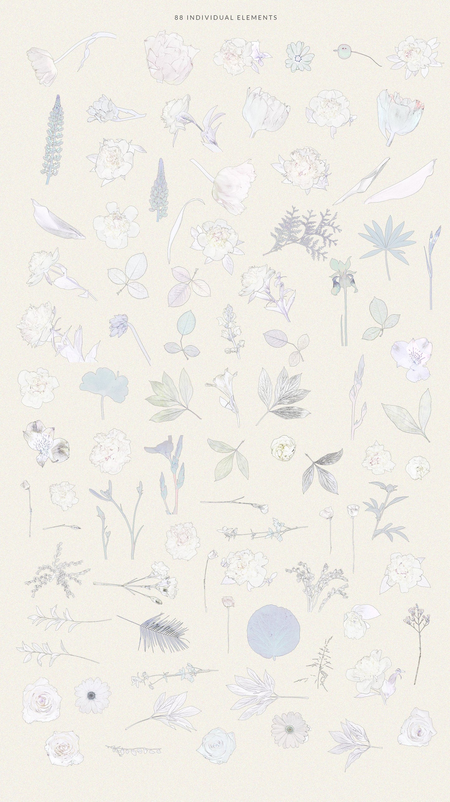 Customize your designs with the beauty of vintage floral arrangements
