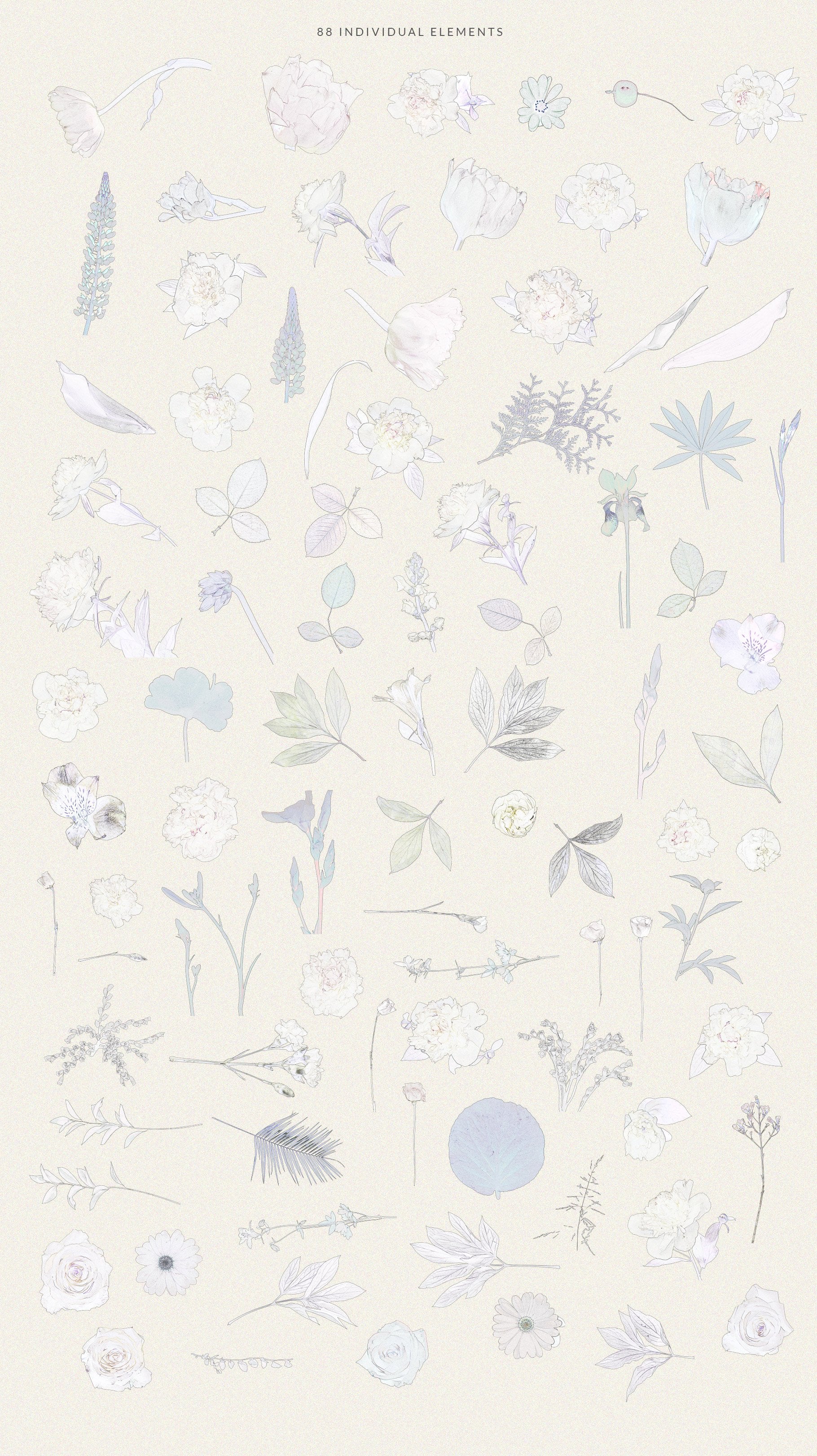 Customize your designs with the beauty of vintage floral arrangements