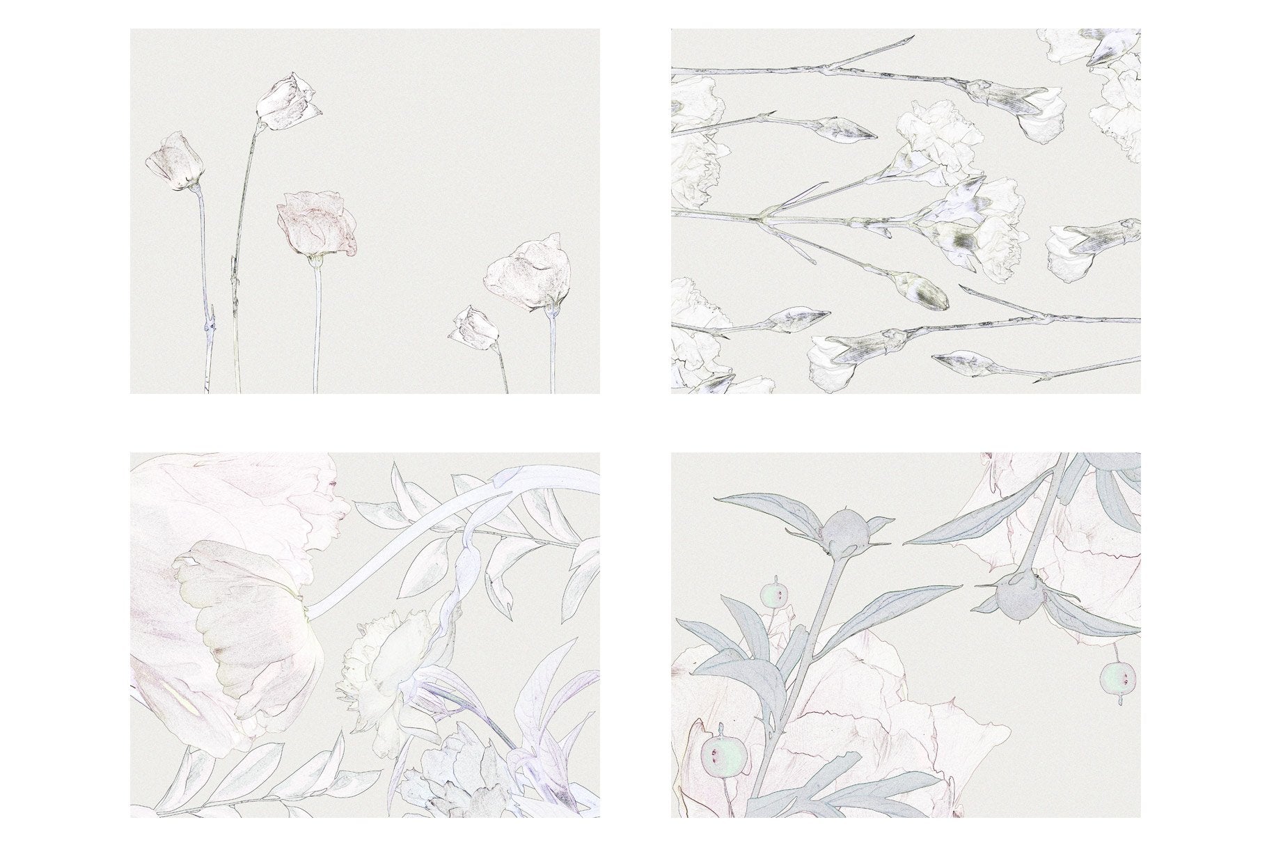 High-quality PNG files compatible with Adobe Photoshop and Illustrator